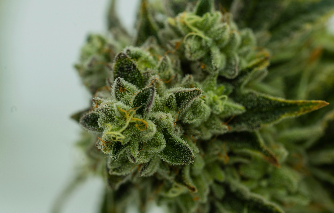 THC