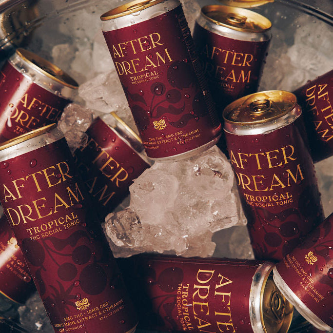Tropical Discovery Set · Afterdream
